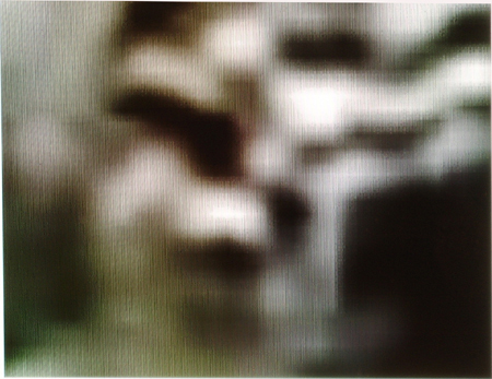 Fox 11 News reporter strawberry fest D